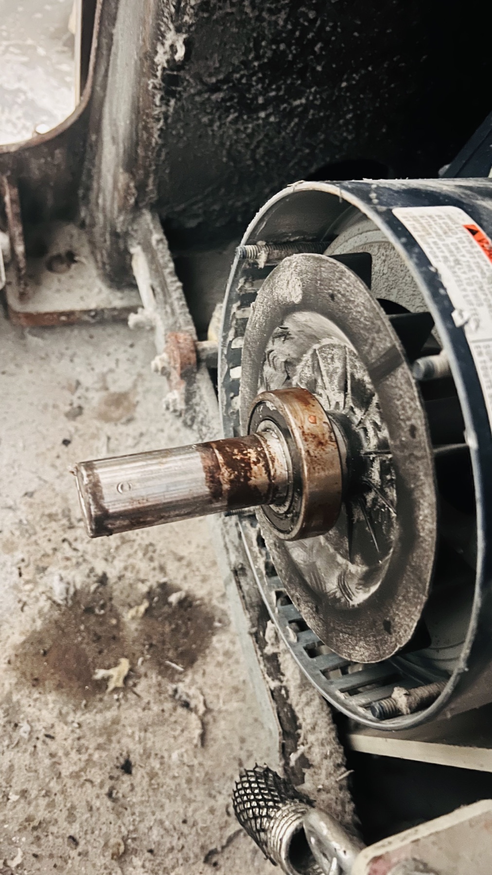 Close-up inspection of the commercial washer drive motor shaft and front bearing area