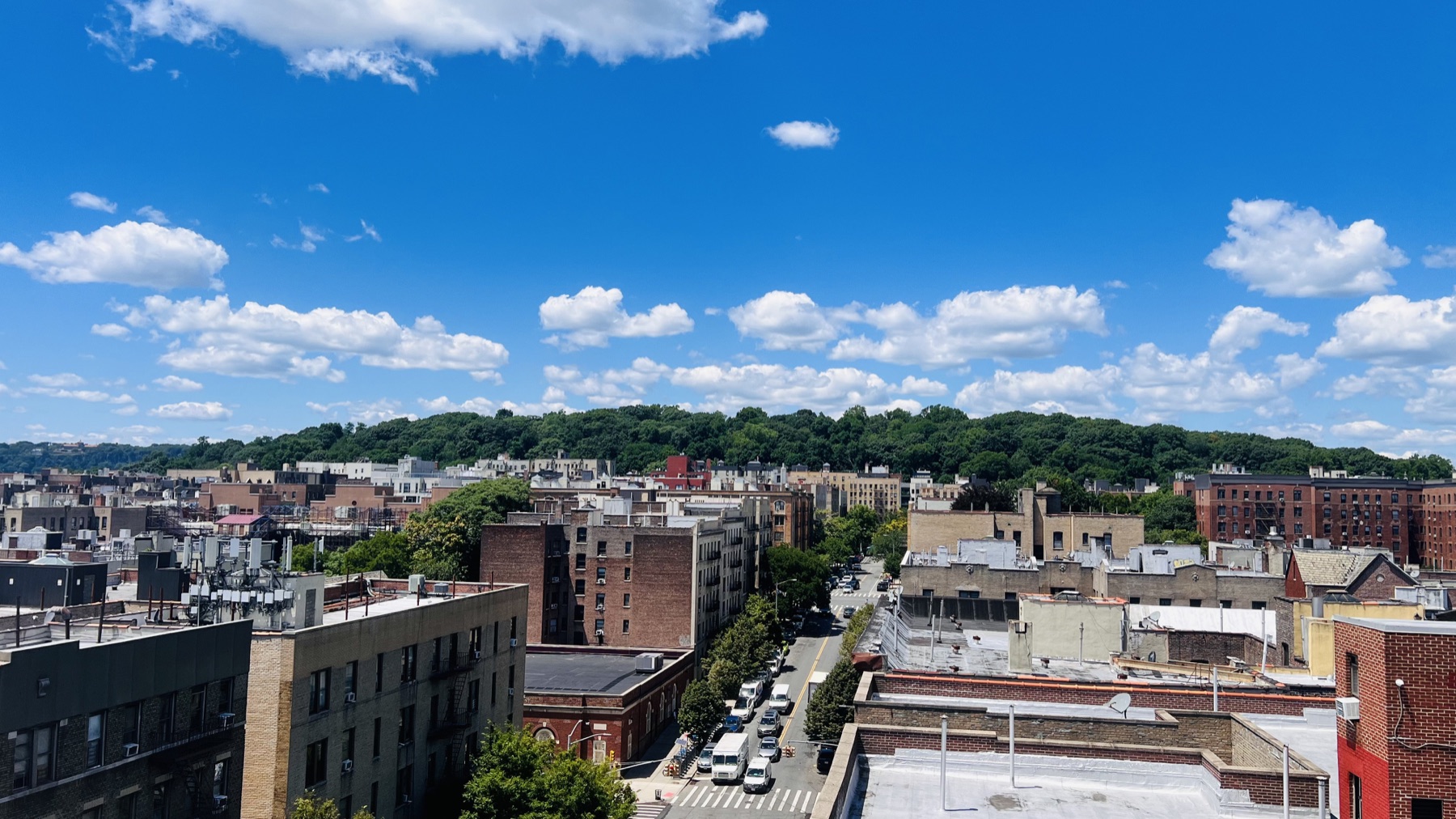 New York neighborhood rooftops under a bright summer sky